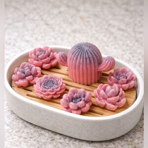 7pc vanilla rum soap set succulents & cactus shea butter based